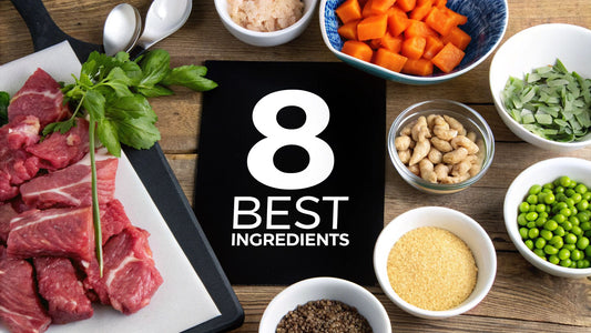 8 Best Ingredients for Homemade Dog Food (2025 Guide)