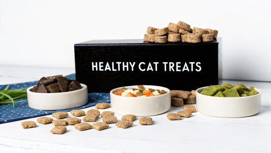 Healthy Treats for Cats Your Feline Will Love