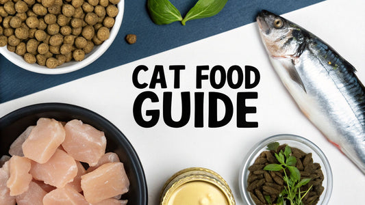 What to Look for in Cat Food A Guide