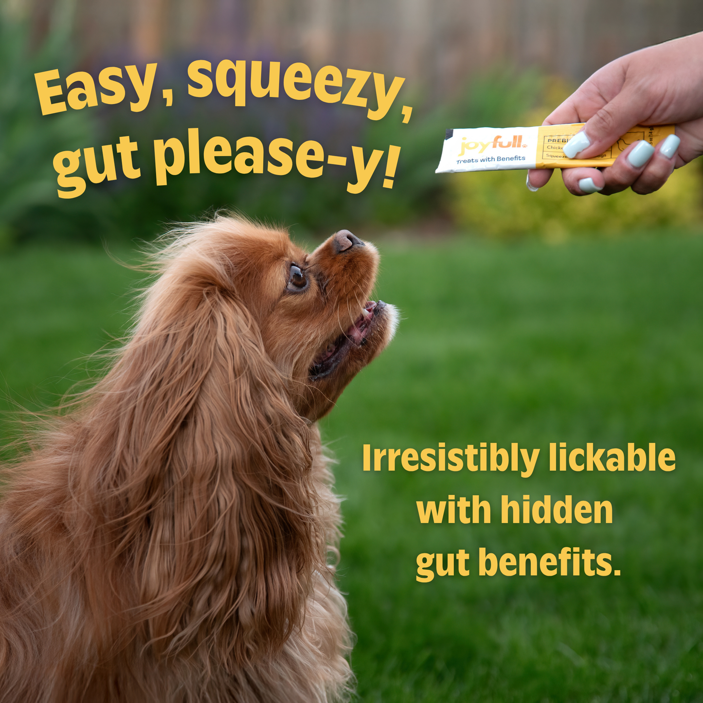 Dog looking at a tube held by a person with text about a product's benefits on a grassy background