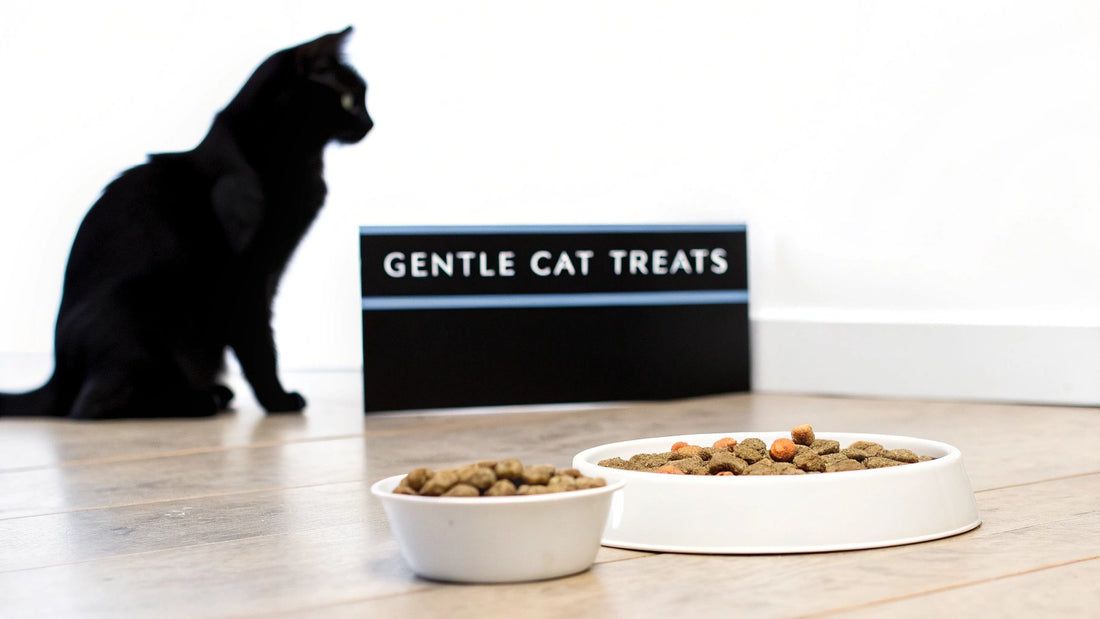 best cat treats for sensitive stomachs: Gentle, Tasty Picks