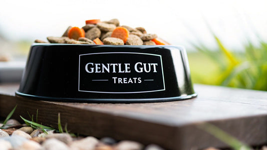 Best Dog Treats for Sensitive Stomachs Gentle Gut-Friendly Picks