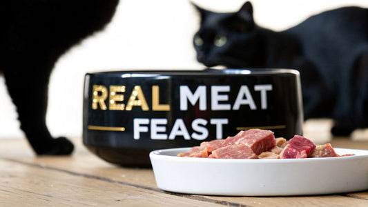 The Truth About Cat Food With Real Meat