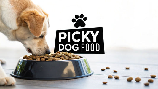 Finding the Best Dog Food for Picky Eaters