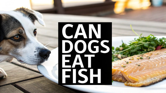 Can Dogs Eat Fish? Safe Tips & Benefits Explained