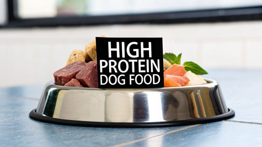 Choosing a High Protein Dog Food That Works