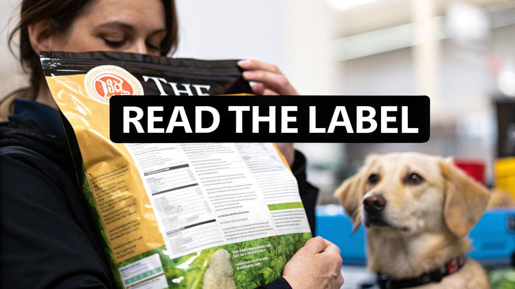 How to Read a Dog Food Label and Choose the Best Food – JoyFull Pet