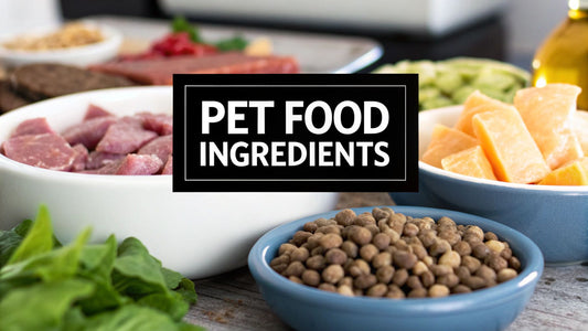 A Guide to Ingredients in Pet Food