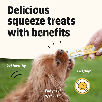 Prebiotic Chicken Squeeze Treats for Dogs