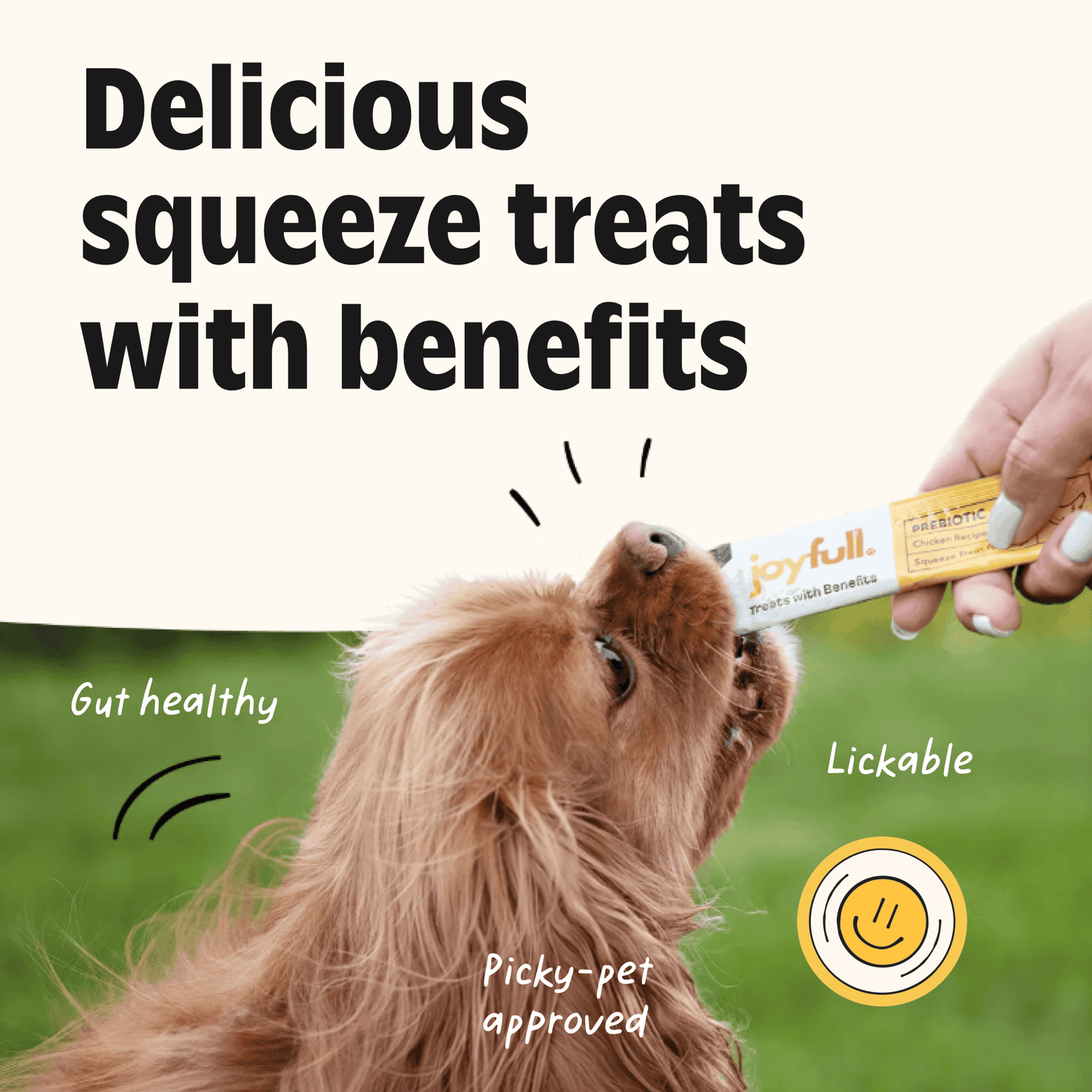 Prebiotic Chicken Squeeze Treats for Dogs