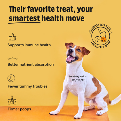 Prebiotic Chicken Squeeze Treats for Dogs