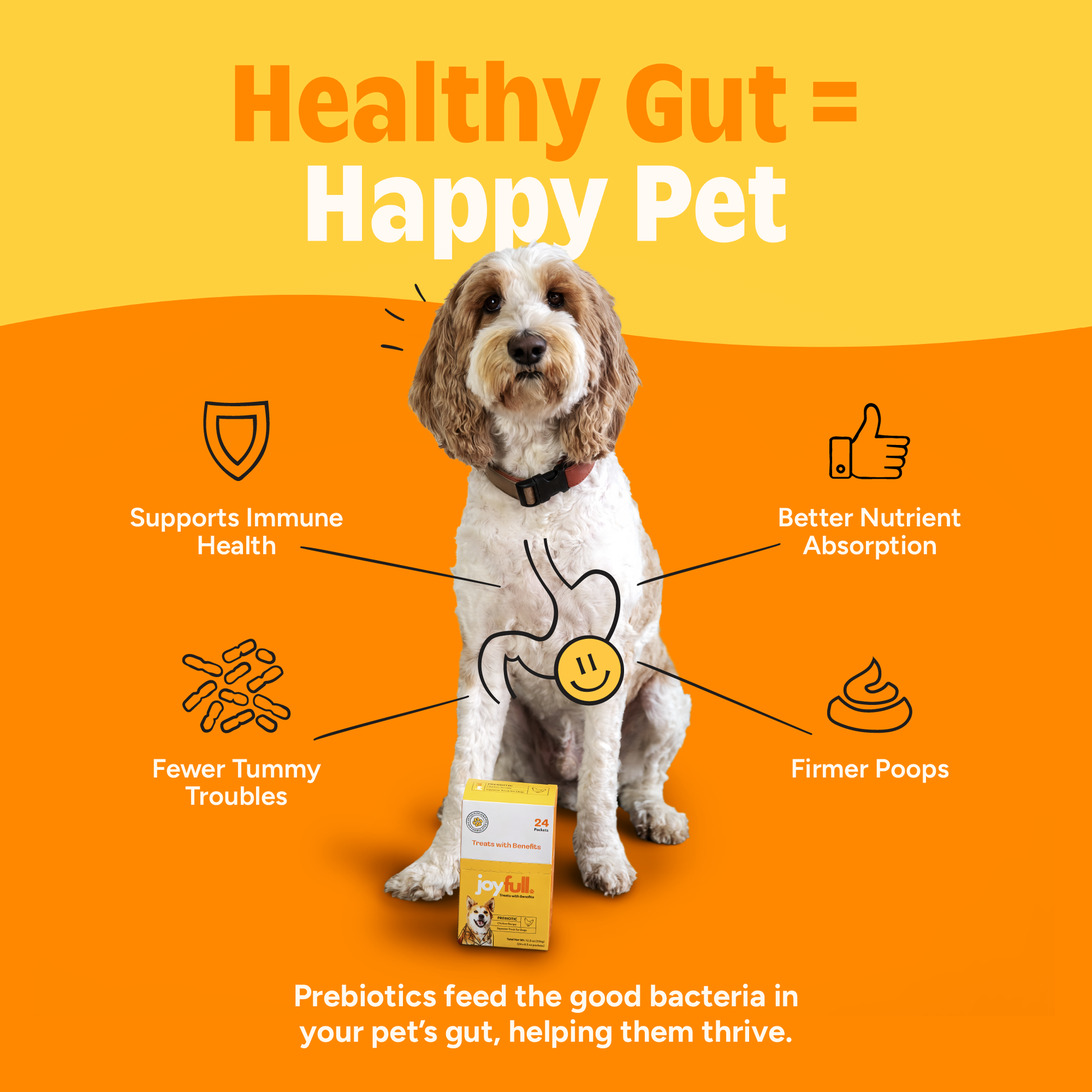 Dog with health benefits of prebiotics on an orange background